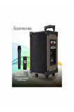 Süper Bass Şarjlı Mikrofonlu Hoparlör Karaoke Sistemi 80 Watt Taşınabilir Parti Box