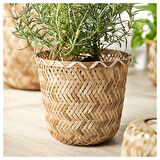 Bambu saksı, bambu, 15 cm