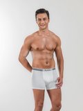 Pierre Cardin Sporcu Modal Erkek Boxer 330