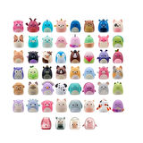 AL0001-1 Squish-a-longs 2 Figür + Yüzük Sürpriz Paket 24lü Display  Seri 1