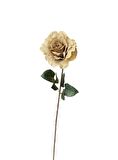 Kuk Çiçek Rose Spray X1 Coral 71 cm