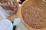 Komomio Un Değirmeni