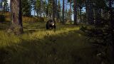 PS5 Way of The Hunter