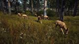 PS5 Way of The Hunter