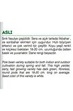 Yerli Sırık Fasulye Tohum 50 Adet
