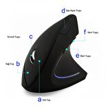 TriLine Kablosuz Ergonomik Dikey Mouse 800/1200/1600 DPI