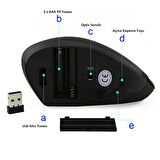 TriLine Kablosuz Ergonomik Dikey Mouse 800/1200/1600 DPI