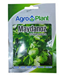 Agro Plant Maydanoz Tohumu 25Gr Paket D'Giant Italiana
