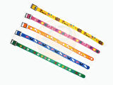 Kedi Köpek Boyun Tasması Desenli Plastik Tasma Hrb-008