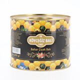 Köyceğiz Balı Bahar Çiçek Balı 2850 G Teneke