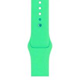 Gpack Apple Watch 42mm Kılıf Silikon Kordon Düz Renkli KRD 11