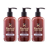 Radical Color NEW 25/Pumpkin Amonyaksız Su Bazlı Saç Boyası 250 ML 3 Adet Bal Kabağı