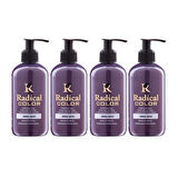 Radical Color NEW 25/Silver Amonyaksız Su Bazlı Saç Boyası 250 ML 4 Adet Gümüş