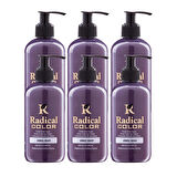 Radical Color NEW 25/Silver Amonyaksız Su Bazlı Saç Boyası 250 ML 6 Adet Gümüş