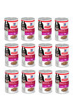 Hill's Science Plan Biftekli Yetişkin Köpek Konserve Maması 370 Gr. X 12 Adet