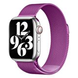 Apple Watch 7 41mm Lopard Band-01 Metal Kordon