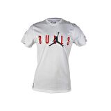 New Era Air Jordan Bulls Erkek T-Shirt