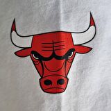 New Era Air Jordan Bulls Erkek T-Shirt