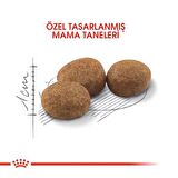 Royal Canin Sterilised 37 Kısırlaştırılmış Kedi Maması 10 Kg
