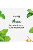 Mint Fresh Ferahlatıcı Diş Macunu, Bitkisel, Vejetaryen, Florürsüz, Parabensiz, 75 Ml 3 Adet