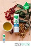 Siveno %100 Doğal Dudak Koruyucu Yoğun Etki Bitkisel Lipbalm Krem Nemlendirici Parlatıcı Onarıcı 6 G 2 X Adet