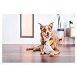 Reddingo Dayanıklı Yumuşak Köpek Oyuncağı - Kakadu Papağanı
