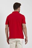 Erkek Basic Polo Yaka Tişört (Regular Fit) Kırmızı