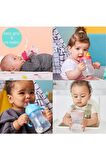 B.box 4-in-1 Alıştırma Bardakları Beslenme Geçiş Seti, Avantaj Paketi, Pembe, 240 Ml, 4 Parça