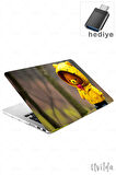 MacBook Pro 16 A2485 uyumlu Kaos-20 HD Baskı Msoft Yağmur ve Teddy