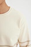 DeFacto Comfort Regular Fit Rahat Kalıp Bisiklet Yaka Çizgili Kalın Sweatshirt D2397AX24AUER42