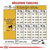 Royal Canin Golden Retriever 12 kg Irka Özel Yetişkin Köpek Maması