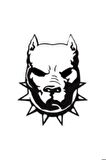 Pitbull Oto Motor Laptop Duvar Folyo Sticker 100 x 120 cm