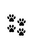 Kedi Pati İzi Oto Motor Laptop Duvar Folyo Sticker 15 x 16