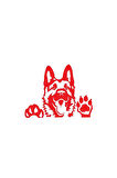 Camdan Bakan Kurt Köpeği Tasarım Sticker (Oto-Motor-Laptop-Duvar-Dekor) 20 x 18 cm