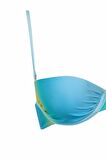 DeFacto Regular Fit Degrade Baskılı Bikini Üstü-Fall in Love D2635AX24HSTR111