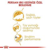 Royal Canin İran Kedisi için Kuru Kedi Maması 4kg