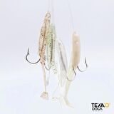 TAMSET 5cm Raglu Bait Worm Çapari 5 Köstekli
