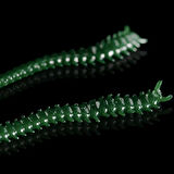 Japanese Ryoshi 12cm Karides Aromalı LRF Silikon Yem Green