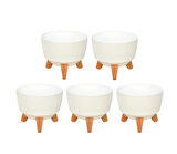 Omnipazar ELF-495 Dekoratif Ayaklı Nostalji Saksı 5 lt Beyaz 5 Adet 