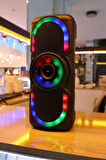 Kablosuz Kareoke Bluetooth Hoparlör 10 Watt Çoklu Giriş Ses Aygıtı