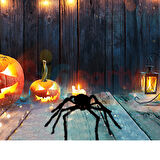 Halloween Örümcek Figür 30 cm Siyah