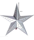 Yıldız 3D Helogramlı Karton 45 Cm Gümüş