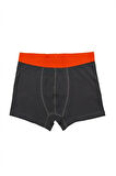 Erkek Wild Dog Erkek Pamuklu 2'li Boxer