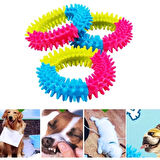 Köpek Isırma Diş Kaşıma Çemberi