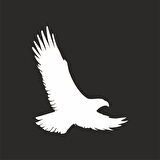 Uçan Kartal Sticker17x17 Cm Beyaz