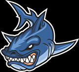 Kızgın Köpekbalığı Sticker 10x10 cmRenkli Sticker