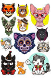 Kedi Sticker Set-2 12 Parça Telefon, Tablet, Defter, Laptop Sticker