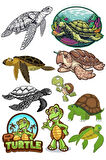 Kaplumbağa Sticker Set-1 10 Parça Telefon, Tablet, Defter, Laptop Sticker
