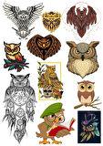 Baykuş Sticker Set-3 11 Parça Telefon, Tablet, Defter, Laptop Sticker