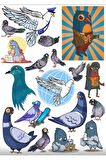 Güvercin Sticker Set 1